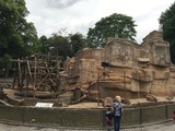 News: Ausflug in den Kölner Zoo (28.07.2017)