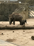 News: Ausflug in den Kölner Zoo (28.07.2017)