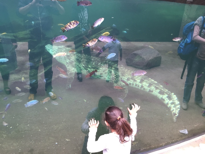 News: Zoobesuch am 14. Juli